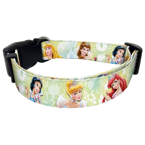 Disney Princesses Collar