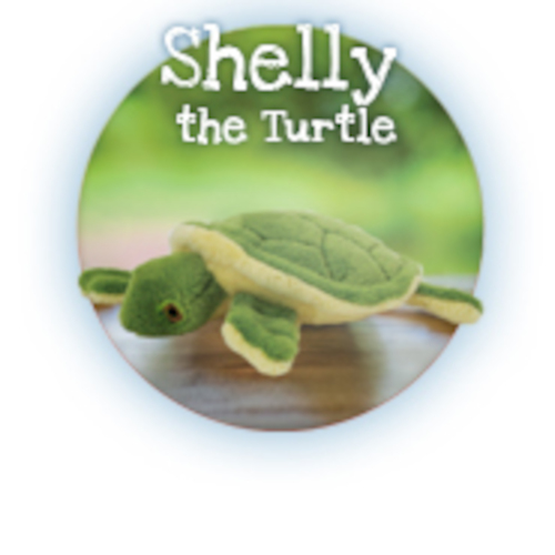 Shelly the Turtle Dog Toy