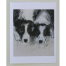 Border Collie Notecards