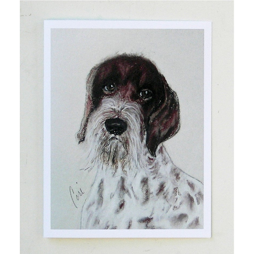 German Wirehaired Pointer Notecards