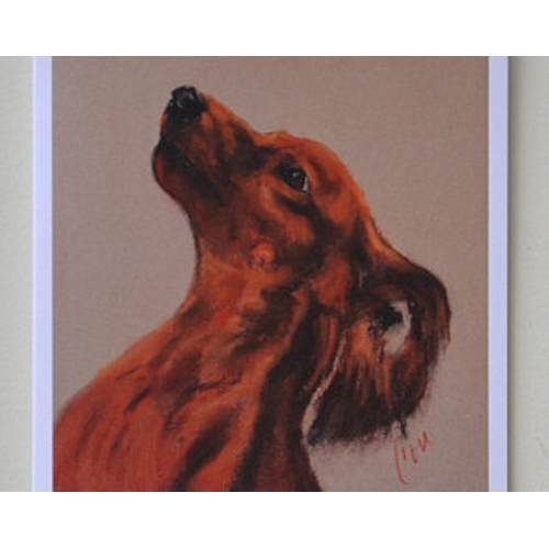 Longhaired Dachshund Notecards