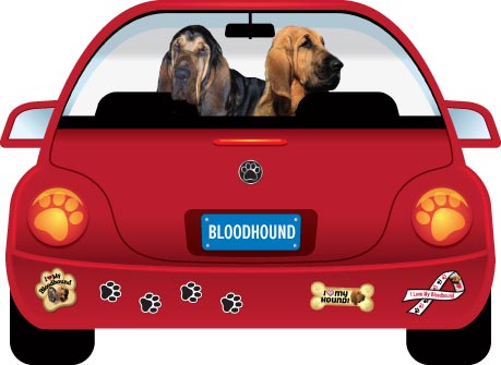 Bloodhound Magnet