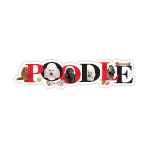 Poodle Dog Magnet