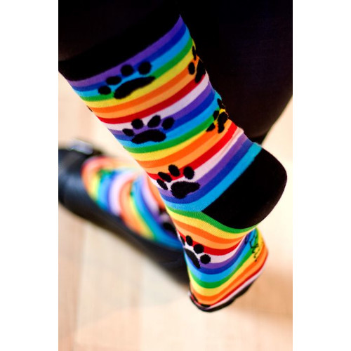 Rainbow Stripe Socks - Ladies