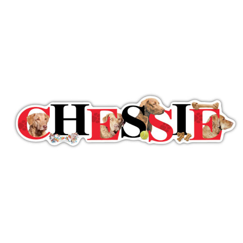 Chessie Car Magnet