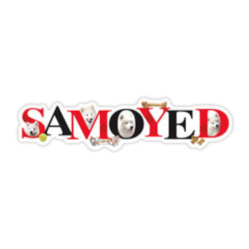 Samoyed Car Magnet