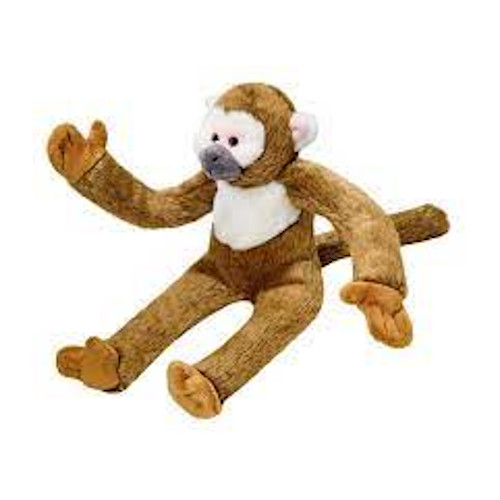 Albert the Squirrel Monkey Dog Toy