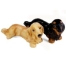 Long Haired Dachsund Salt and Pepper Shakers